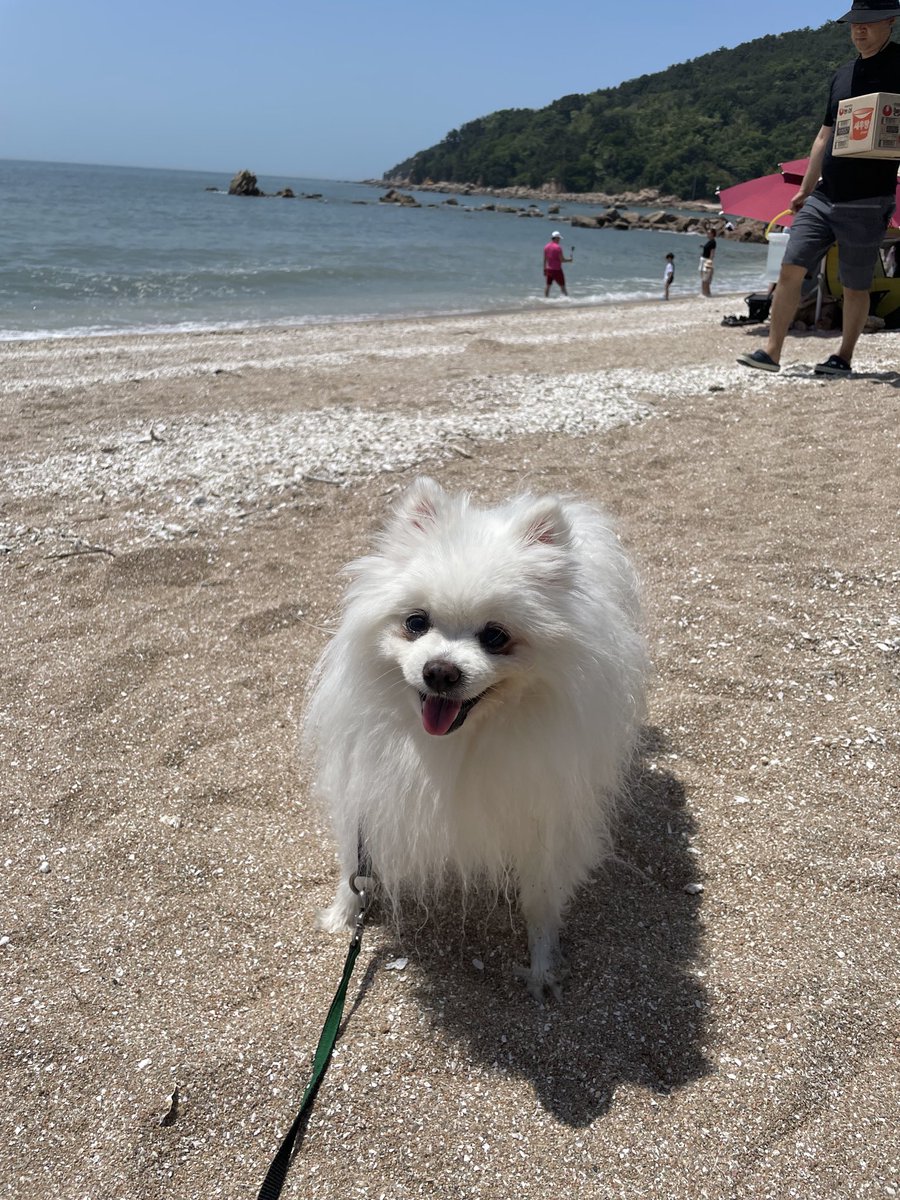 chundukku's tweet photo. 이럴수가 찾았다!! https://t.co/1XvFAY9fM1