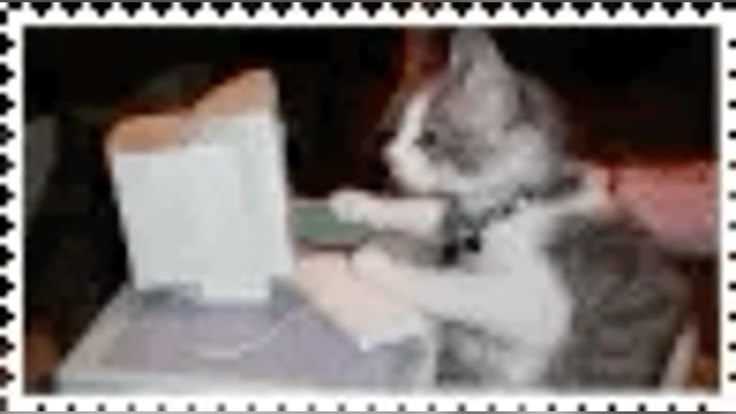 #kuro ;; (●°u°●) 」 tweet media