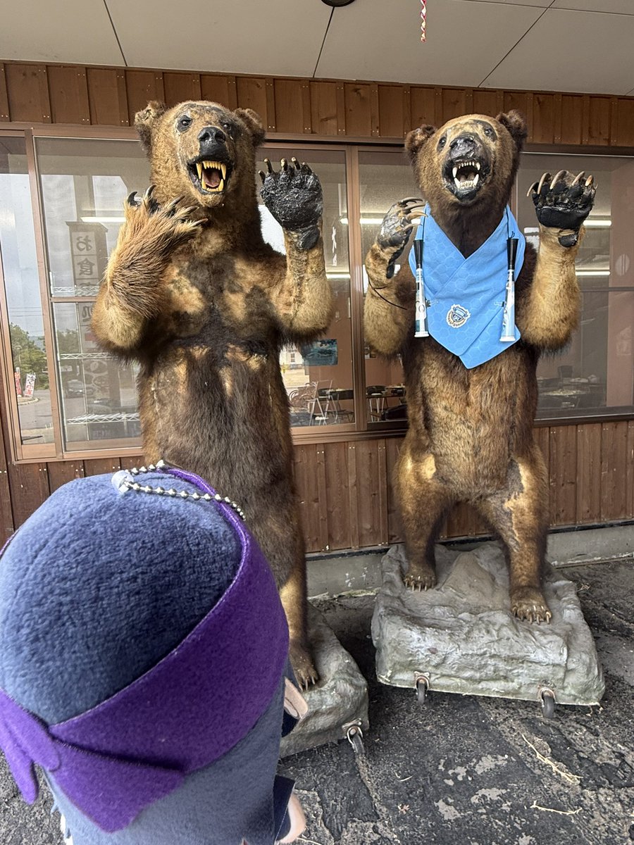 kibidango25's tweet photo. これはなんかご機嫌な熊 https://t.co/zwv84yaNR2
