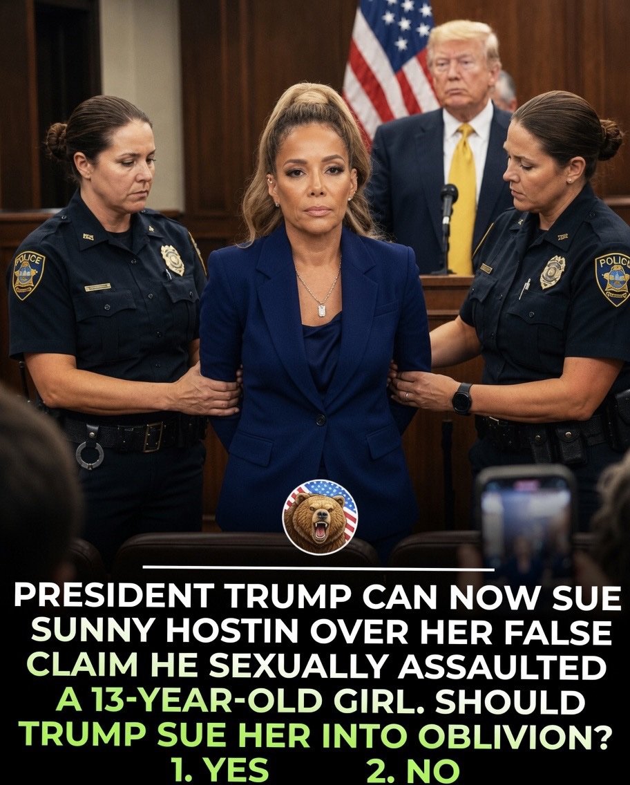 snowyxq1's tweet photo. President Trump can now sue Sunny Hostin over her false claim he sexually assaulted a 13 year old girl. Should Trump sue her into oblivion?

1️⃣. YES                      2️⃣. NO https://t.co/S2fWn57rOK
