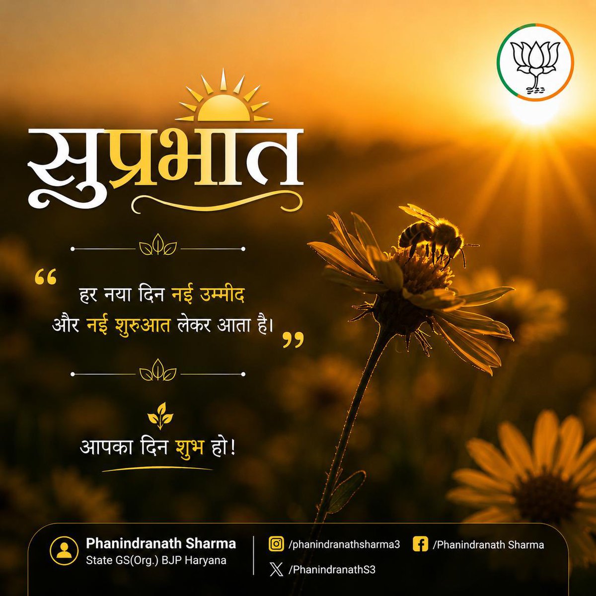 PhanindranathS3's tweet photo. सुप्रभात.. https://t.co/Je8HDFQogS