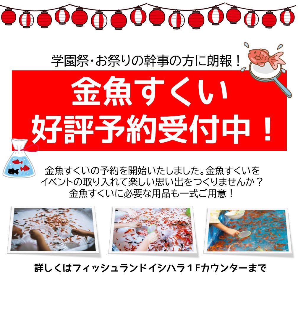 今年も金魚すくい予約絶賛受付中！！ 学園祭やお祭りなどにいかが