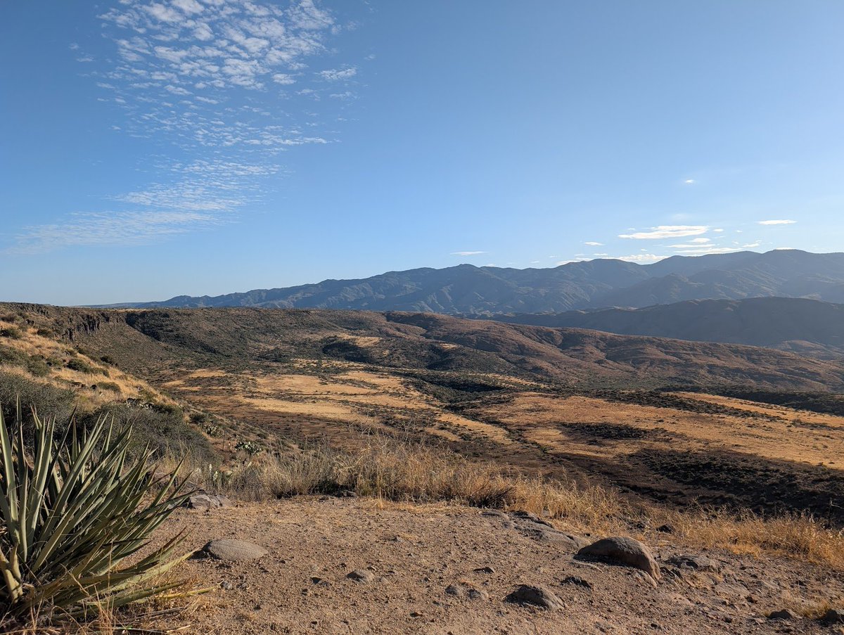 eatmorefrogs's tweet photo. I was told when I moved to the southwest that the desert was where things go to die. And yet, I simply see it as a place where the toughest find a way to thrive.

(please refrain from fireworks, she remains very combustible this time of year.) https://t.co/ohAyOcN8rV