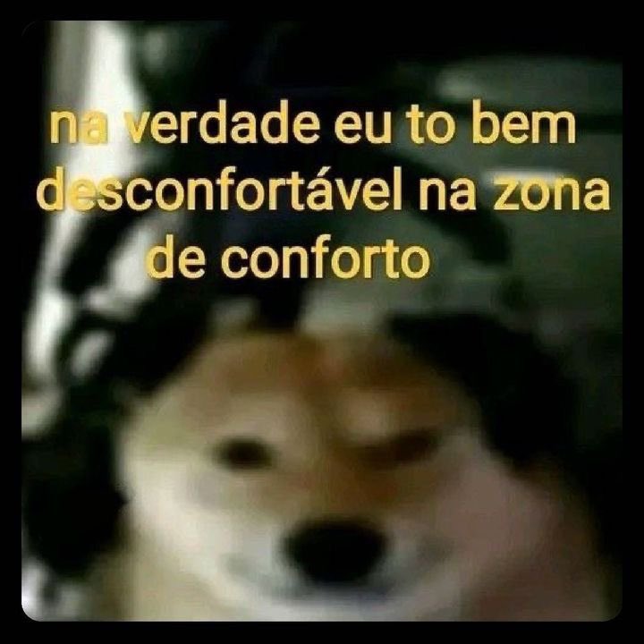 shitpostverdade's tweet photo. https://t.co/oMbDD9owFJ
