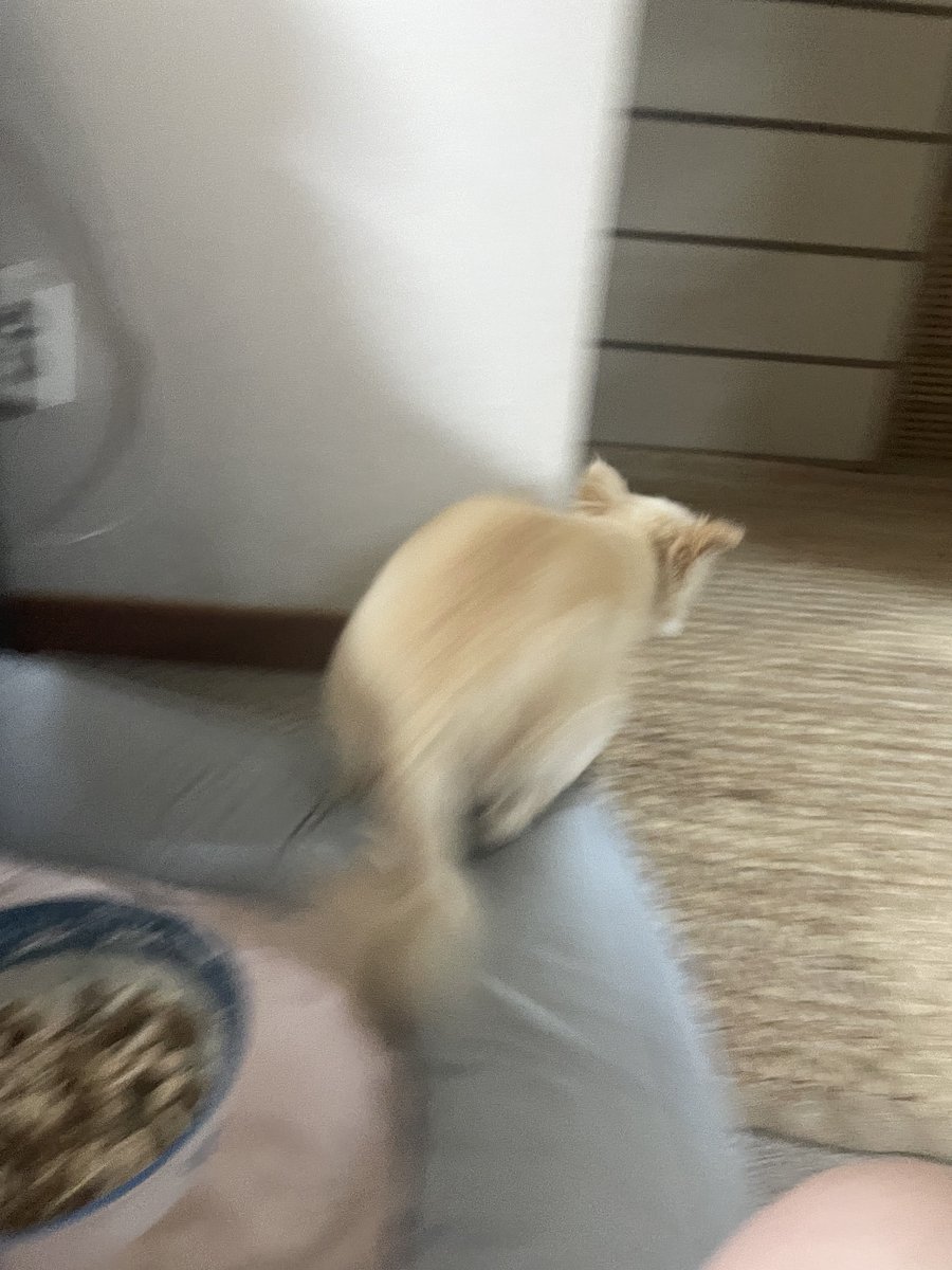 na_big_AP's tweet photo. ㅋㅋㅋㅋㅋㅋㅋㅋㅋㅋ...ㅋㅋㅋㅋㅋㅋㅋㅋㅋㅋㅋㅋㅋㅋㅋㅋㅋㅋㅋㅋ야이씨 https://t.co/sJNYkuaLrF