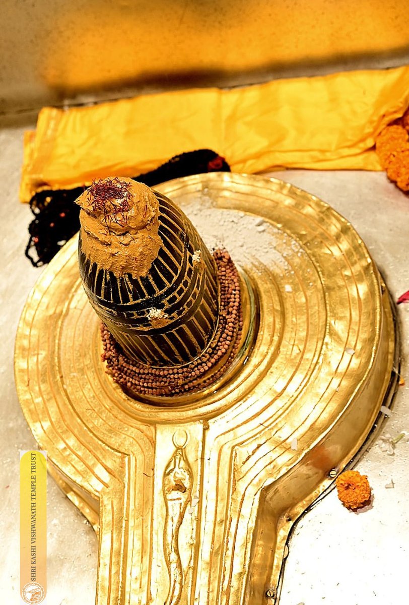 ShriVishwanath's tweet photo. श्री काशी विश्वनाथ जी की मंगला आरती I
#kashivishwanath #kashi #sanatandharma #banarasisilk https://t.co/LWnRTLB8rA