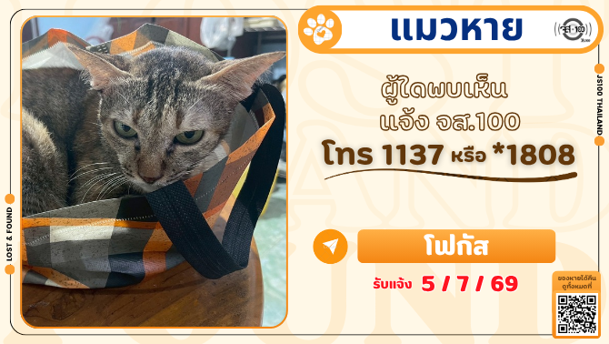 js100radio's tweet photo. แมวหายจากบริเวณใกล้เคียง รพ.สัตว์สมุทรสาคร (หมอบอย) อ.กระทุ่มแบน จ.สมุทรสาคร ผู้ใดพบเห็นแจ้ง JS100 โทร *1808 หรือ 1137

รายละเอียดเพิ่มเติม : https://t.co/x1kuyFslt8

#แมวหาย #ตามหาแมว #JS100 https://t.co/Li7M7QR8c6