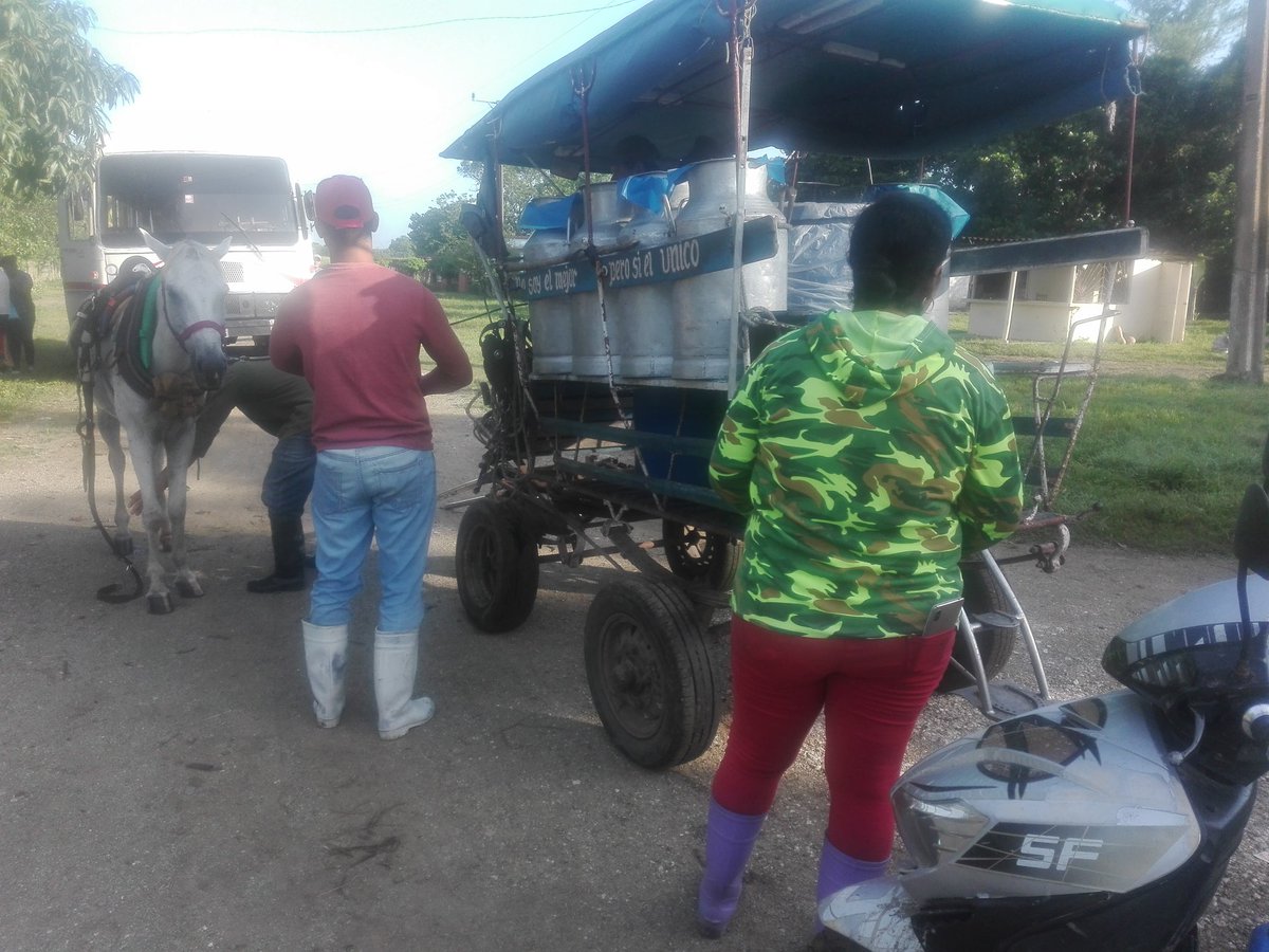 DCMMJayde's tweet photo. Preparativos para caldosa y acopio de leche estuvieron entre las actividades que abrazaron Mi barrio por la patria acuerdo 570_10 del Consejo de Estado #hoy en Circunscripción 22 Valle grande #Vertientes #Camagüey.
#100AñosConFidel
@DiazCanelB https://t.co/XZ9ulhNJjC