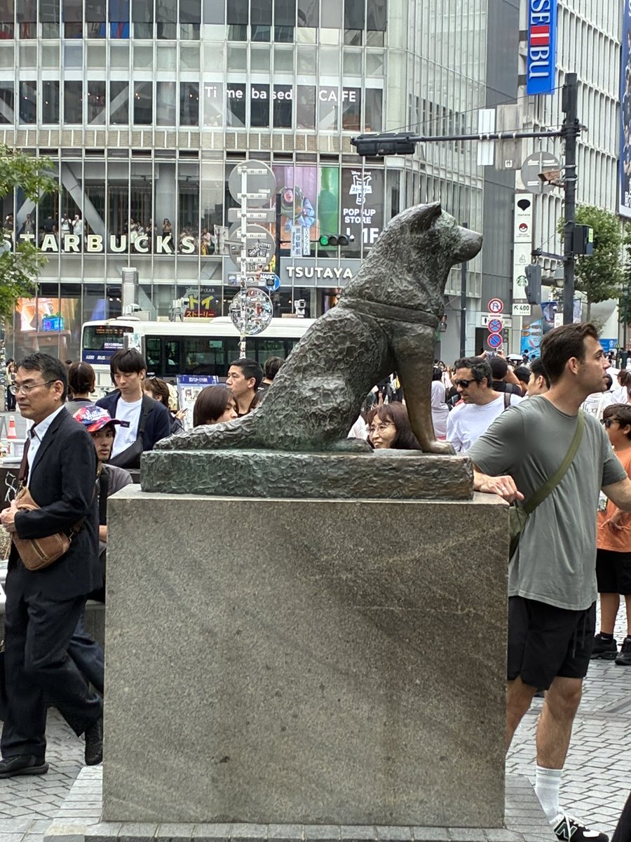 tomotoho's tweet photo. 東急東横線、みなとみらい線徒歩　2026年7月4日
渋谷駅12:39発→元町•中華街駅18:28着　30km

渋谷から元町•中華街まで歩きました！
これで東急線は全路線歩き終わりました〜
東急は短い路線がたくさんあって暇つぶし程度に歩きに行くのが楽しかったです
#東急 #徒歩鉄 https://t.co/spchIaIk6X