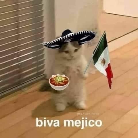 ANIMALITOSSANA's tweet photo. Todo México ahorita 🙈 https://t.co/aEMtHI57ak