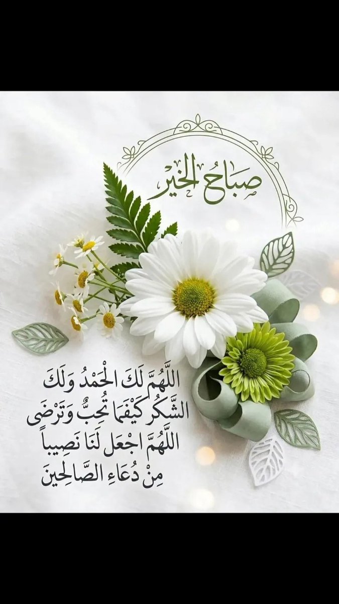 سكليف صحتي 🇸🇦 tweet media