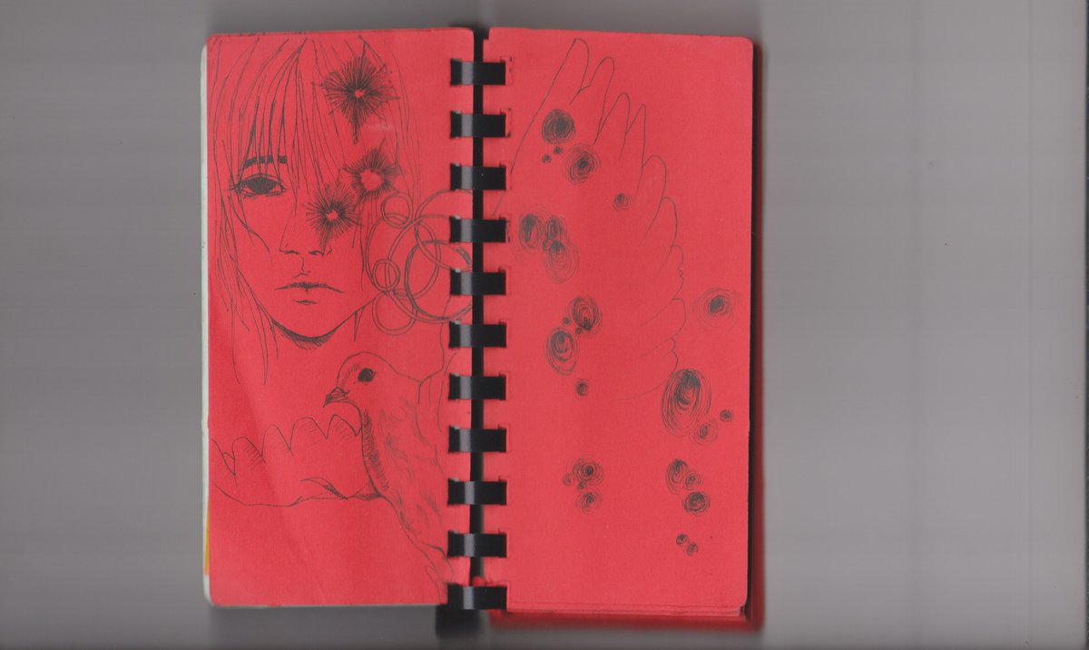 ntra1ls's tweet photo. tiny red sketchbook where i practice intuitive drawing scans https://t.co/lrwqiEv7eU