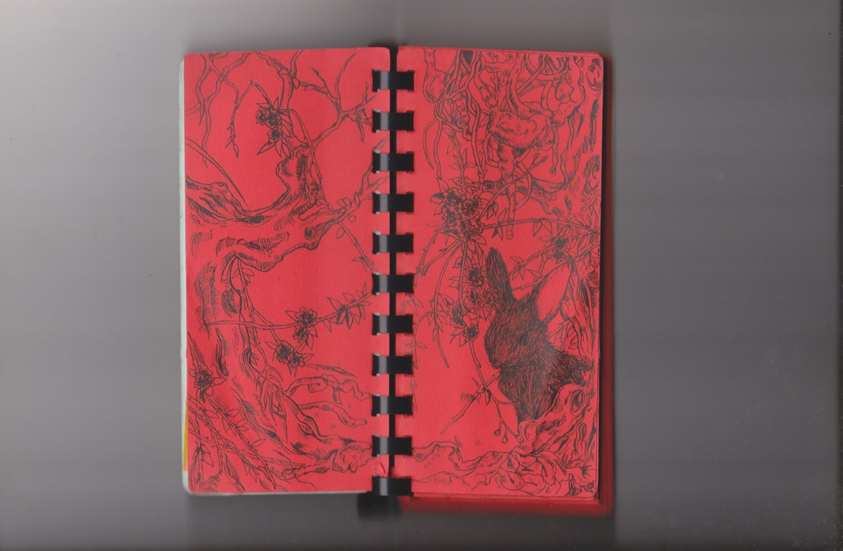 ntra1ls's tweet photo. tiny red sketchbook where i practice intuitive drawing scans https://t.co/lrwqiEv7eU
