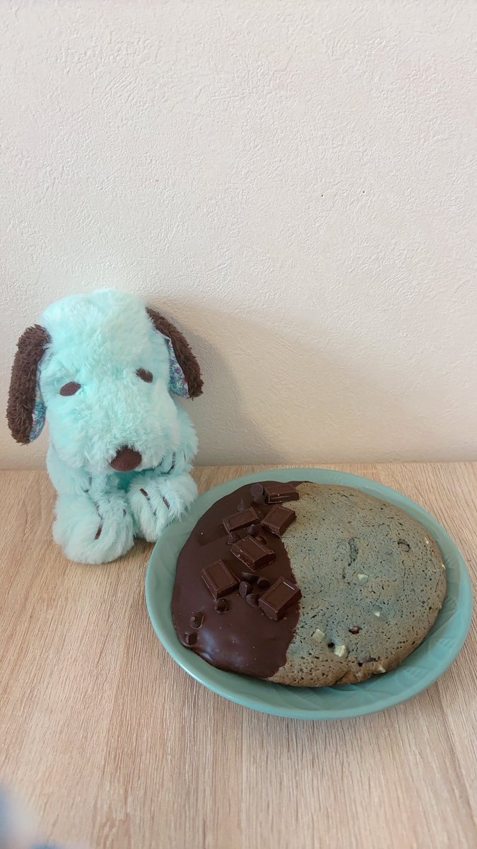 moose425love's tweet photo. GUILTY’S チョコミントクッキー🍪🤎🩵
これ1枚だけでお腹いっぱいになる!
カロリーは…🫢!
#GUILTYS #チョコミントクッキー #チョコミント #チョコミン党 #chocomint #ミントチョコ #mintchoco #チョコレートミント #chocolatemint #ミントチョコレート #mintchocolate #チョコミント好き https://t.co/Fugsn6YbkC