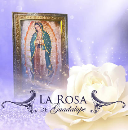 termoazul11's tweet photo. @IbaiLlanos Todos los partidos de México han sido un capitulo de La Rosa de Guadalupe.. https://t.co/tgqaUceIhW