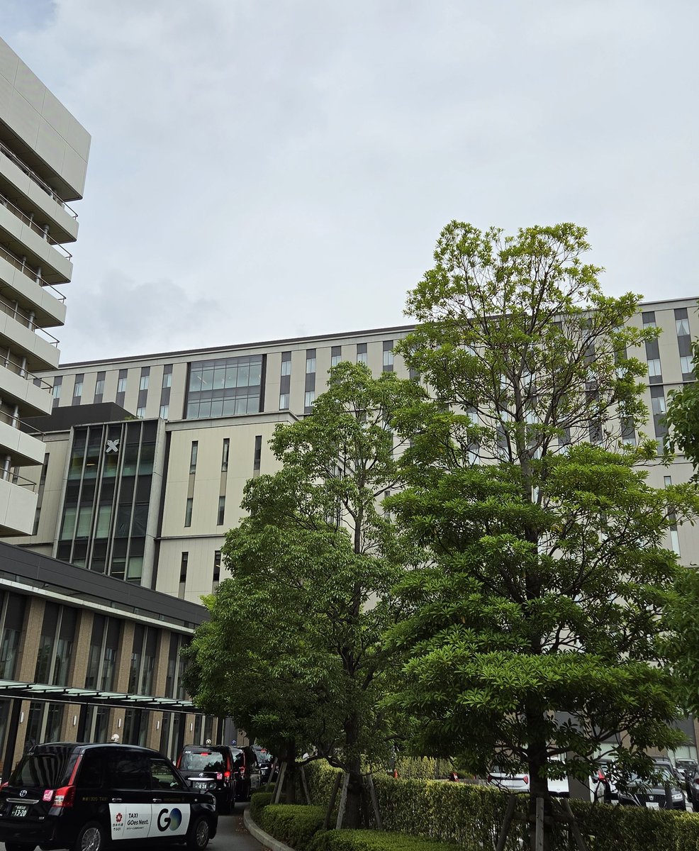 bonkoi2011's tweet photo. よかった、心底安堵した…身体の奥底にある氷塊が優しい微風で解けていくようだ。経過観察のオマケ付きだが、今の自分には満点💯
来週、祇園さんに逢えるかもしれない…待ってておくれ https://t.co/Zgs9XOpwWi