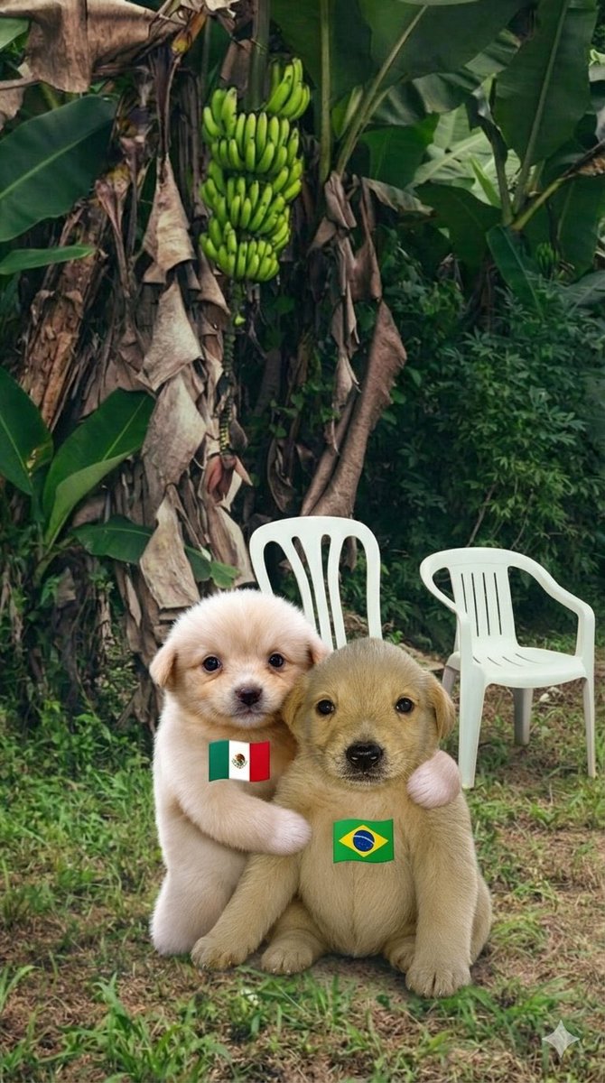 39sakucaptor's tweet photo. @formulalau https://t.co/PZGaSb60VC