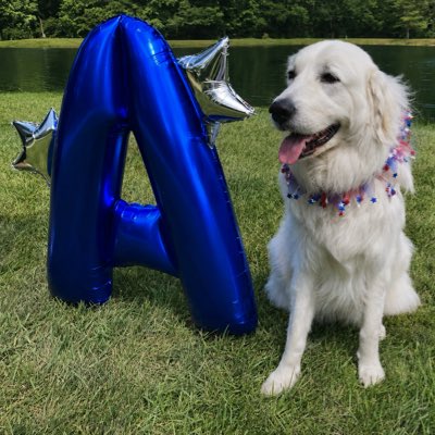 BrittAdams92's tweet photo. #NewProfilePic https://t.co/LdfJ0zwhcY