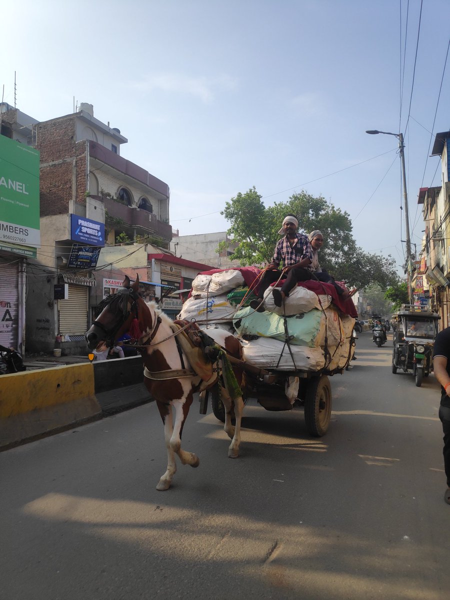 asdankit1's tweet photo. Extreme animal cruelty in Loni road shahdara Delhi at 8am,horse forced to pull ~1 ton of cargo 2 grown men sitting on top. Clear PCA Act violation.
Please investigate &amp; track this commercial vehicle! Take strict action 
@PETAIndia @DelhiPolice @FIAPO @TimesofIndia https://t.co/Yffq7bCfTj