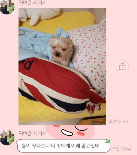 kokojiwon2's tweet photo. 외박하는 날 엄마한테 카톡옴 https://t.co/qjFVoU2Zxy