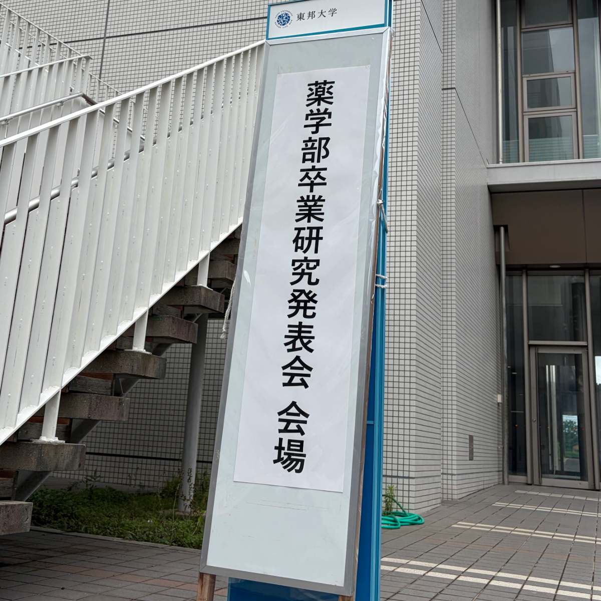 toho_phar's tweet photo. 🎓7月3日に薬学部卒業研究発表会を開催しました！

卒業研究の集大成として、6年生がポスター発表を実施📚
3・4年生も参加し、活発な質疑応答が行われるなど、大盛況の発表会となりました✨

6年生の皆さん、お疲れさまでした！👏

#東邦大学 #薬学部 #卒業研究 #ポスター発表 https://t.co/PM0U6wqwR3