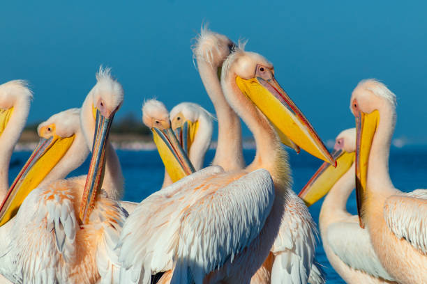 glorysummittour's tweet photo. Happy New Week. Something beautiful to feast our eyes on as we look forward to an amazing week. #ExploreUganda #UniquelyOurs #VisitUganda #ExploreMore
https://t.co/sLgnJNCb3l
https://t.co/gCw7QOAePU
https://t.co/RCJe14MVBQ https://t.co/FNHoO39Csj