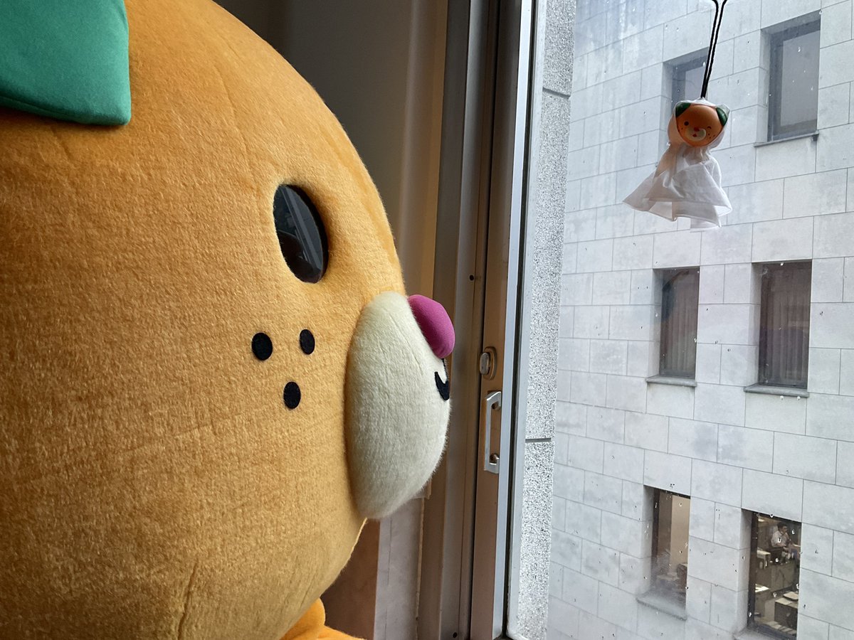 micanehime's tweet photo. こんにちきゃん🍊

今日も雨やったねぇ〜☔️
最近雨が多いから、天気予報をちゃんとみなきゃ💦 https://t.co/Utw7l14XWP