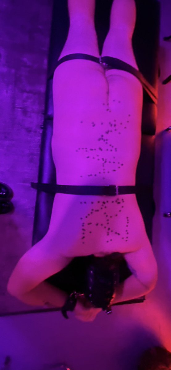 servemarz's tweet photo. Pissing all over my territory- M is for MARZ https://t.co/8pjwy2PGRh