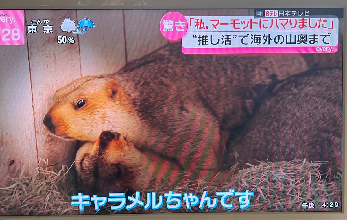 もえち (@_i_am_moe_chan_) / Posts / X