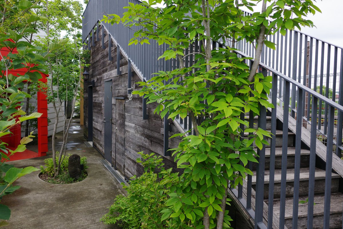 duck_0719's tweet photo. トイレがある建物の上にも登れちゃう。 https://t.co/tj123UldEA