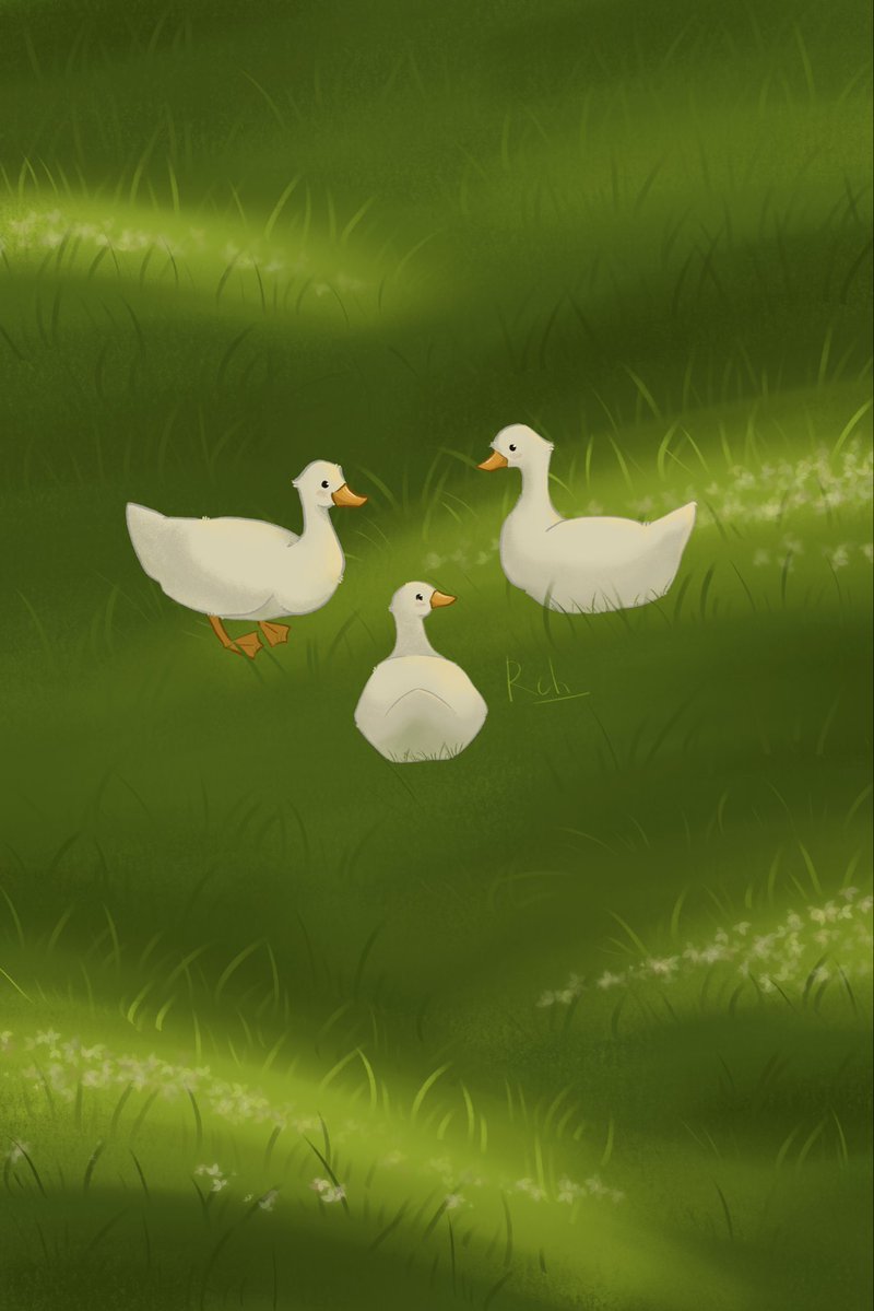 Romashovich's tweet photo. Three little ducks having a very important meeting 🦆 https://t.co/xPYOOkZs7u