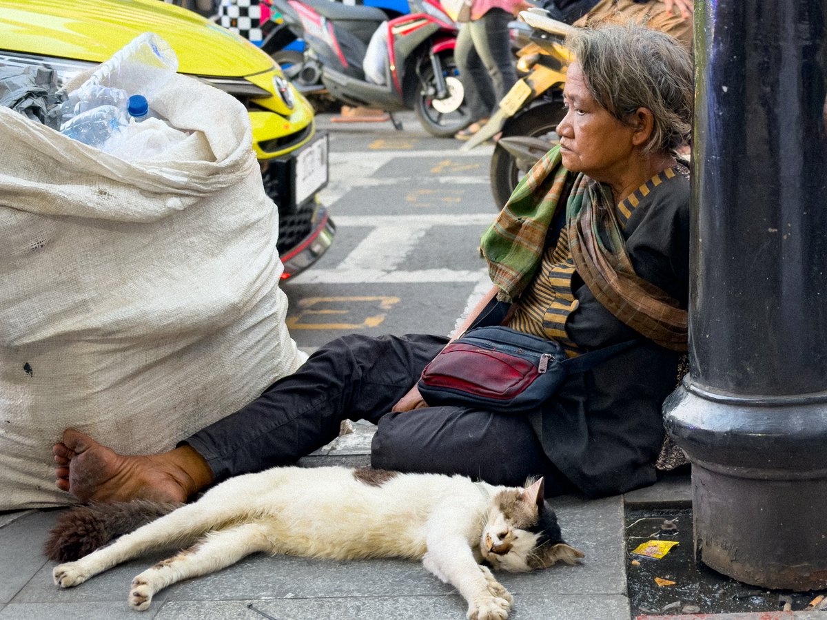 MsGoldenweekkkk's tweet photo. yang suka foto foto kucing liar gabut dijalan boleh mutualan gesss 🫪 https://t.co/Y5VvntRckx