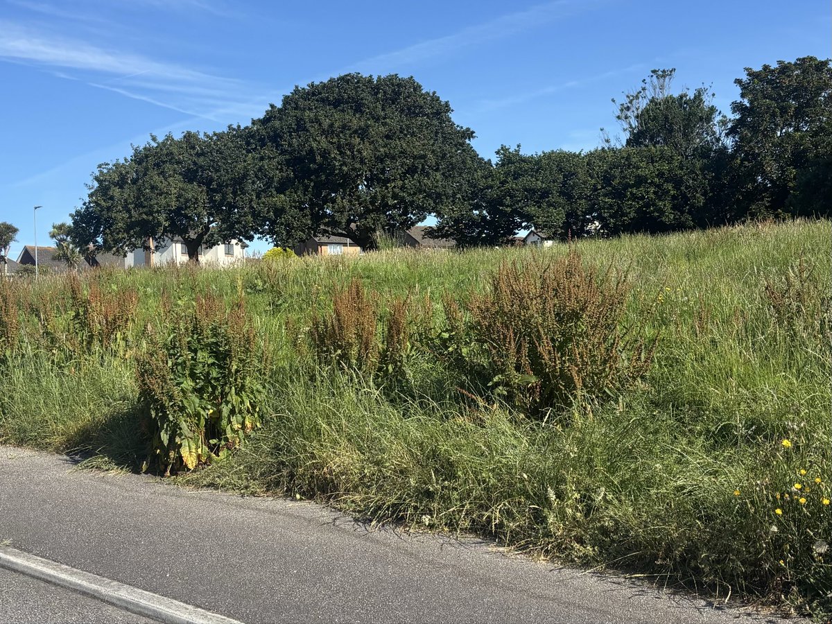 hellinikakis85's tweet photo. @CornwallCouncil are u taking the piss with the amount of money people pay in council tax? #Goldenbankfalmouth https://t.co/4gHIqRouY5