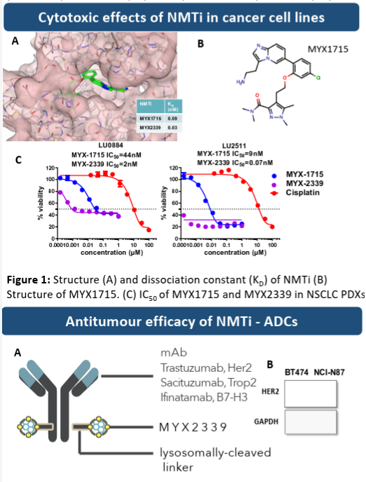 JacobPlieth's tweet photo. Myricx Bio's secret sauce: an N-myristoyltransferase inhibitor (NMTi) ADC payload, from Robin Carr poster at #WorldADC23. Just acquired by $NVS for $ 1.1bn. https://t.co/pswt8qyIdh