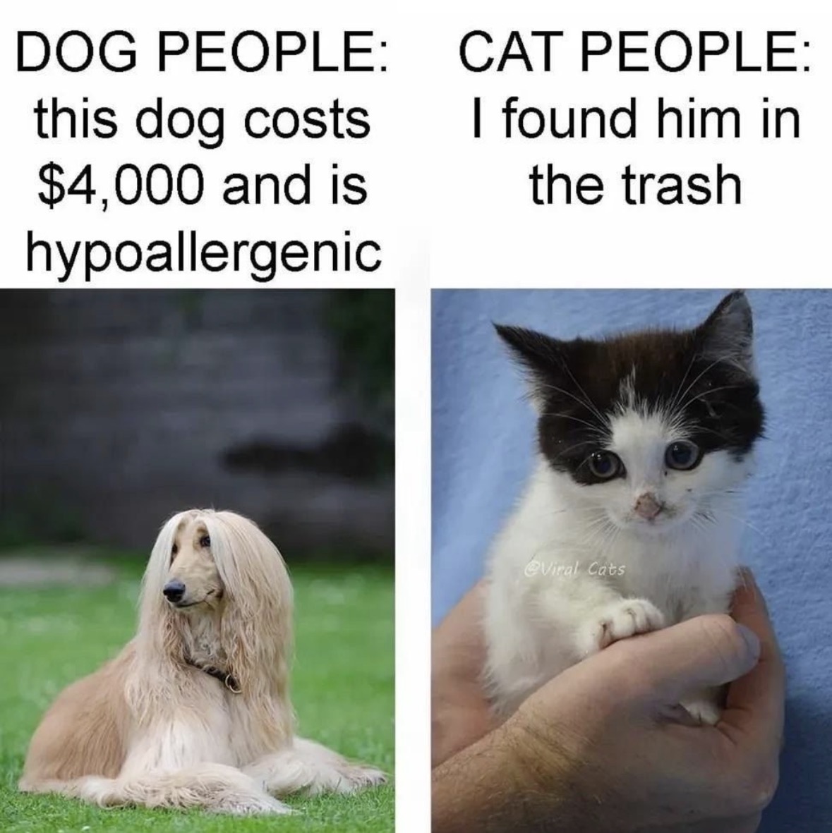 RespectfulMemes's tweet photo. https://t.co/0NmLJD4NNw
