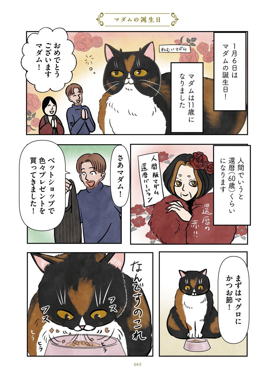 kansabi_kk's tweet photo. 今日でマダムのお誕生日から丁度半年がたちました！半年ってネコチャンにとっては人間の２年に相当するようですね。ハッピー半年バースデーマダム🌹というわけで半年前のお誕生日の漫画を再掲いたします。1/2 https://t.co/050Fne5zWz