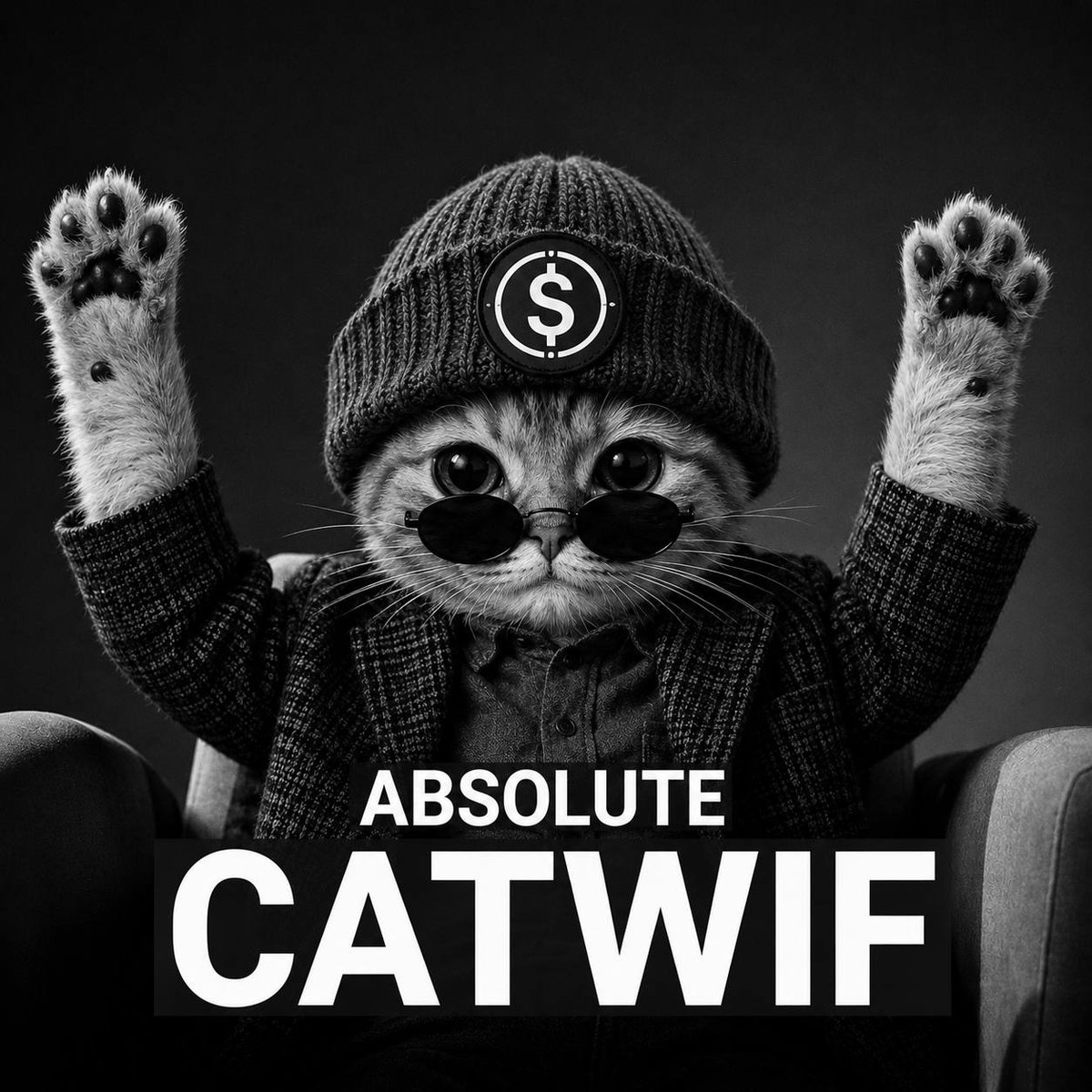 Catwifhat tweet media