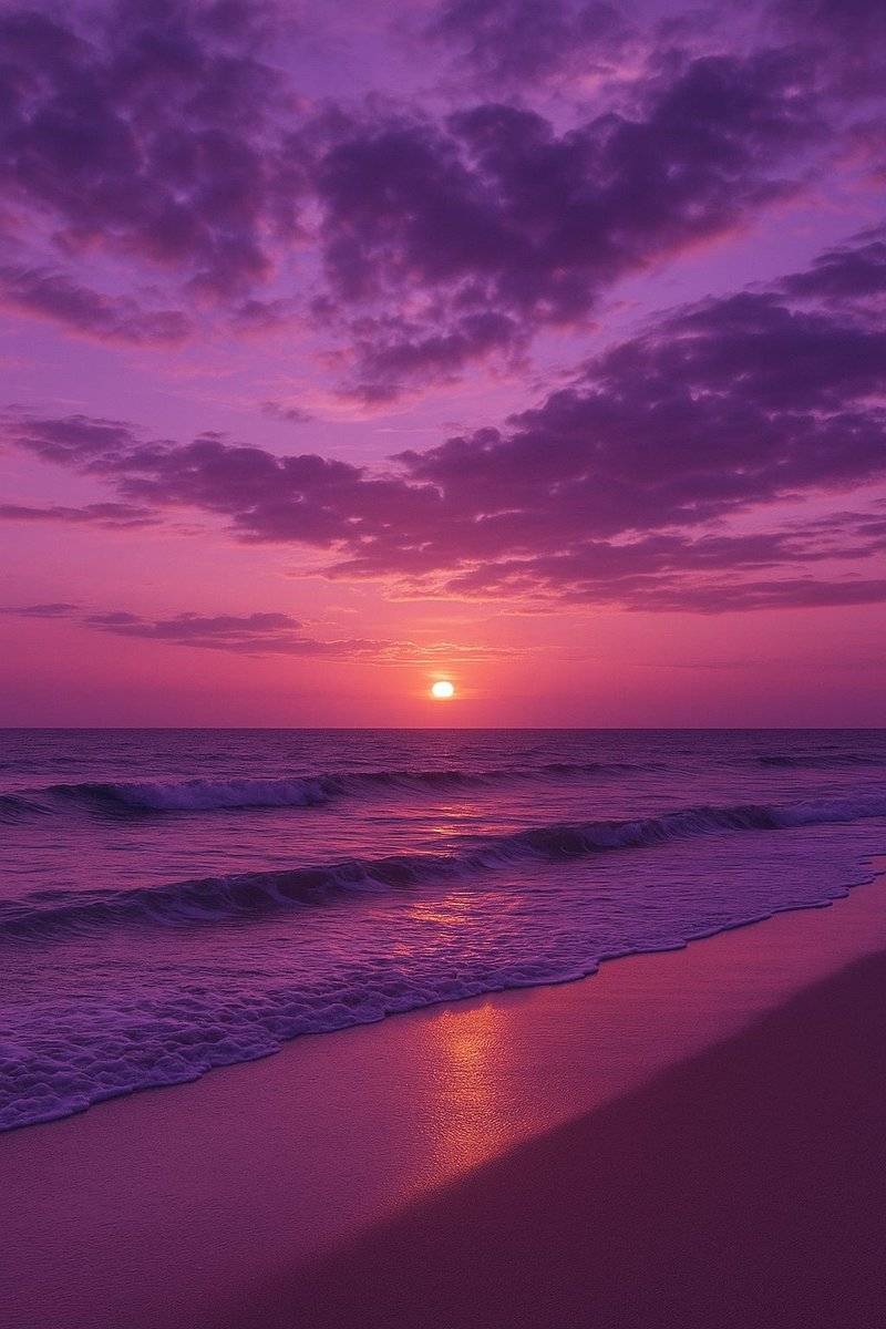 _Naturaee's tweet photo. Purple summer beach sunset https://t.co/YpzJNBnH7F