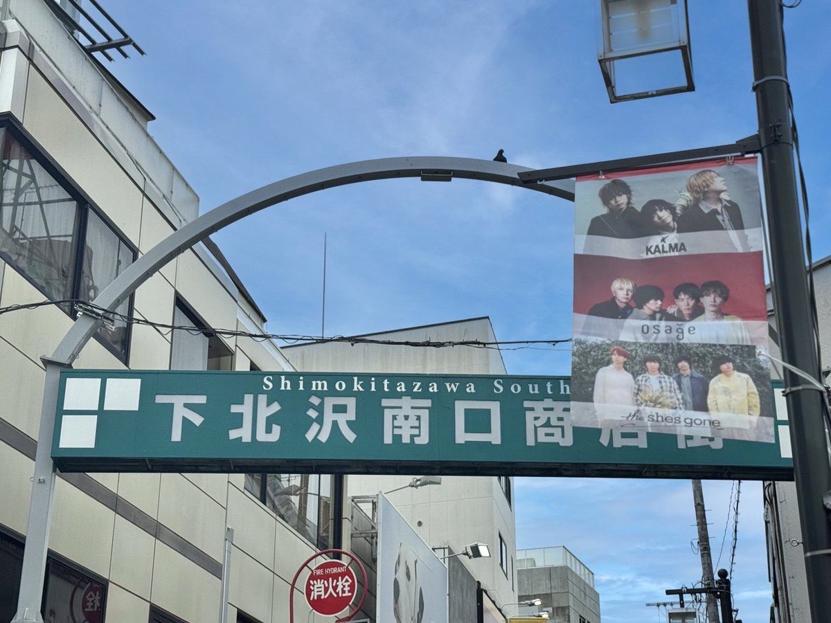 murofes's tweet photo. *.✩ﾟムロフェスフラッグ in 下北沢!! *.✩ﾟ 

今年もムロフェスが下北沢をジャック🎸

下北沢南口商店街にて
ムロフェスフラッグの掲載がスタート‼️

全40枚、有料エリア125組のアーティスト写真も載っています🌟
週末開催の「POPUP in 下北沢」と一緒に！是非お楽しみください🙆‍♀️

フラッグ掲載期間:7/20(月)まで
#murofes #ムロフェス