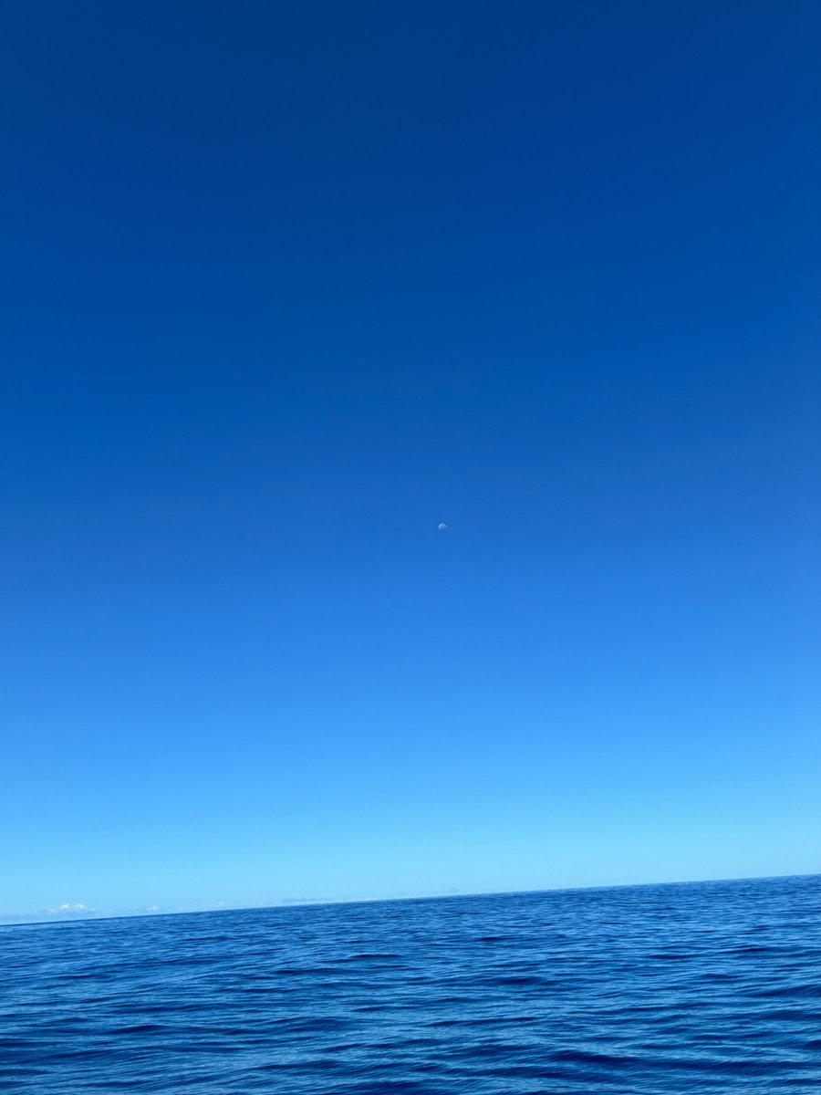 ikedahanana's tweet photo. 海と空とホワイトムーン🌔 https://t.co/O9TDJwO3pG