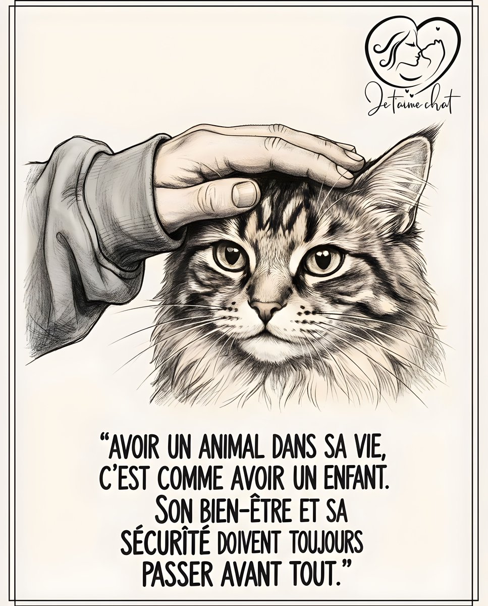 jtmchat's tweet photo. Rejoins la famille Je t'aime Chat πΎ π @jtmchat |
........#ChatsDeFrance #VieDeChat #AmourDeChat #ChatDuJour #Ronron #ChatLovers #UniversDesChats https://t.co/9dy9zFfPPf
