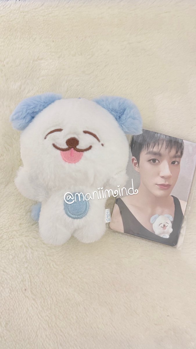 ManiiMind's tweet photo. WTS/ หาบ้านใหม่ให้น้องค่าาา

magnet doll keyring มึอง

♡ 980 ♡

•ได้การ์ด
•ไม่เคยอาบน้ำ
•ไม่เคยพาไปเที่ยว

🚛 ค่าส่ง 35 💚

#ตลาดนัดnctdream https://t.co/1DlKfZwx4L