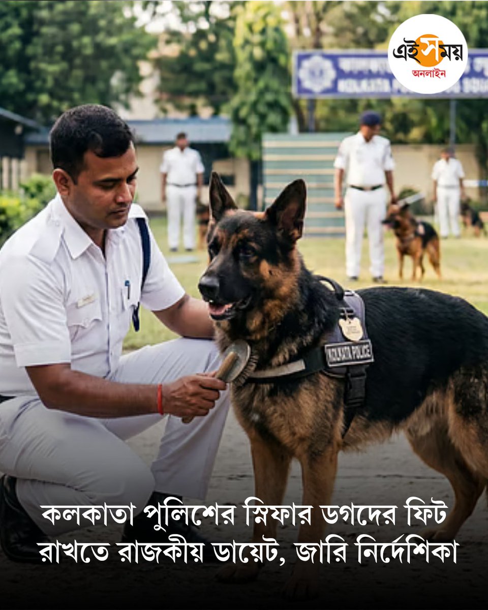 Ei_Samay's tweet photo. Kolkata Police| Sniffer Dog | সারমেয় বাহিনীর জন্য অভিনব পদক্ষেপ লালবাজারের, ডায়েট চার্টে ১৪ রকমের পদ
➡️ https://t.co/QKKRZ42vFp
#KolkataPolice #LalBazaar #SnifferDogs #dogfitness #EiSamay #eisamayonline https://t.co/5GD8b1NGAb