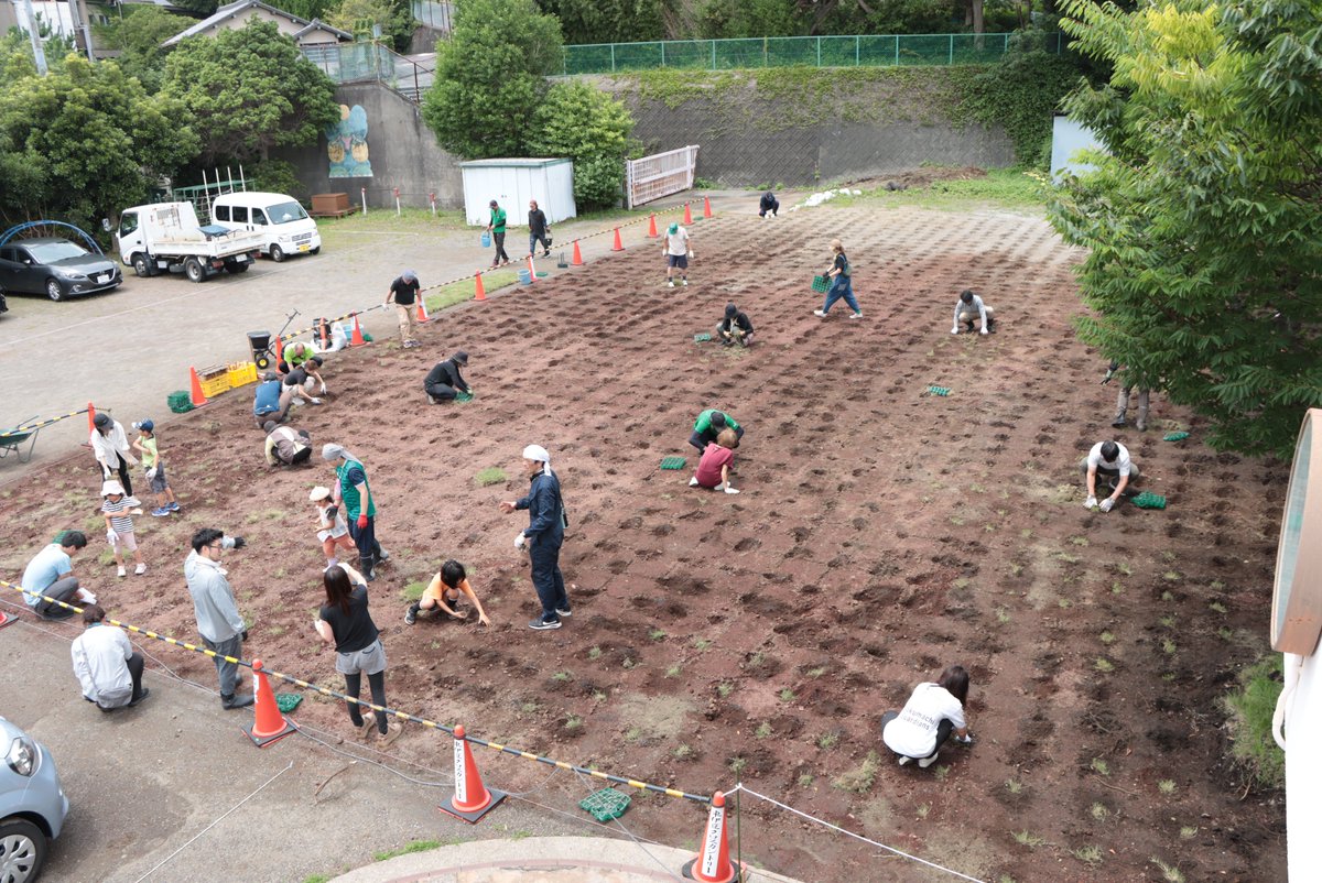 higashiizucho's tweet photo. よりみち１３５の園庭を芝生化！🌱

旧幼稚園の頃は全面土のグラウンドでしたが、今回一部に芝生を植えました！
地域の方々、NPO法人グラウンドキーパーさん、町職員、取材に来ていたメディアの方々も総出で穴を掘って、石を取り除いて、苗を植えて、踏み固めて…

この芝生が無事根付きますように！🙏 https://t.co/CKweTKu4UH