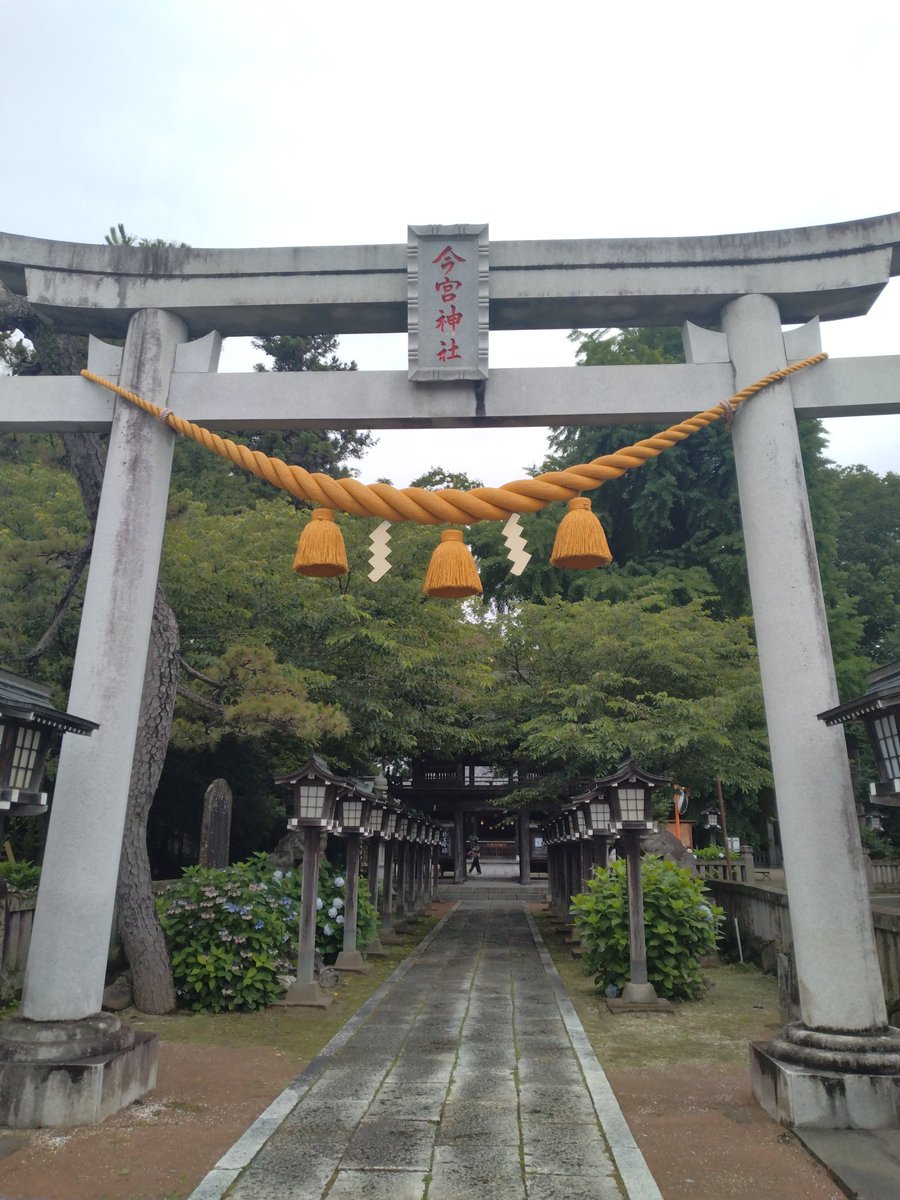 Kenko1209's tweet photo. お気に入りの神社にお参り
紫陽花がキレイ！
七夕の飾り付けされていた
春は桜、夏は紫陽花、秋は銀杏
季節を感じさせてくれる
こう言うところがとても好き
#今宮神社
#お気に入り
#紫陽花
#七夕飾り https://t.co/T8Du1Icbfi