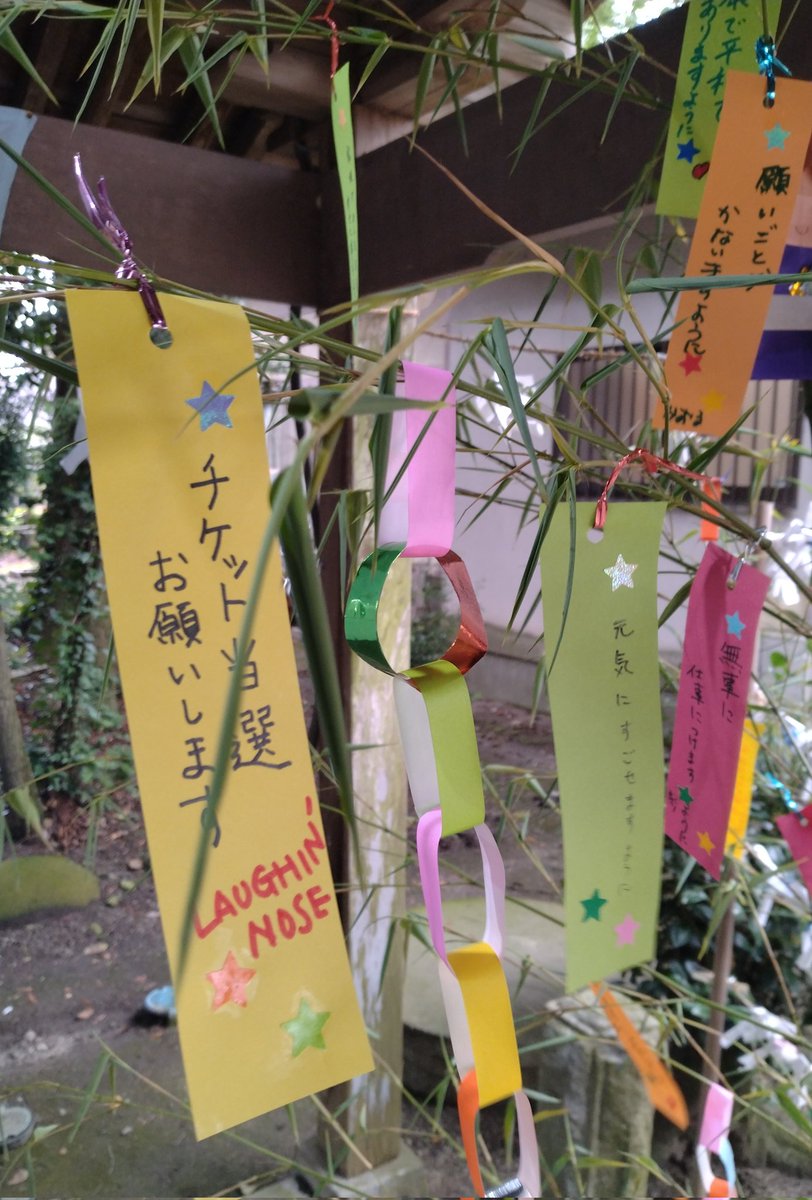 Kenko1209's tweet photo. お気に入りの神社にお参り
紫陽花がキレイ！
七夕の飾り付けされていた
春は桜、夏は紫陽花、秋は銀杏
季節を感じさせてくれる
こう言うところがとても好き
#今宮神社
#お気に入り
#紫陽花
#七夕飾り https://t.co/T8Du1Icbfi