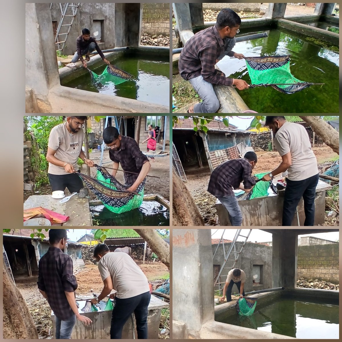 AAMSHAPUR1's tweet photo. ગપ્પી ફિશ એપ્લિકેશન &amp; હેચરી રી ફિલિંગ VBD સર્વે શાપુર,નાના કાજલીયાલા @Tho_Vanthali @DdoJunagadh @CdhoJunagadh @collectorjunag https://t.co/ZI79TyI7kP