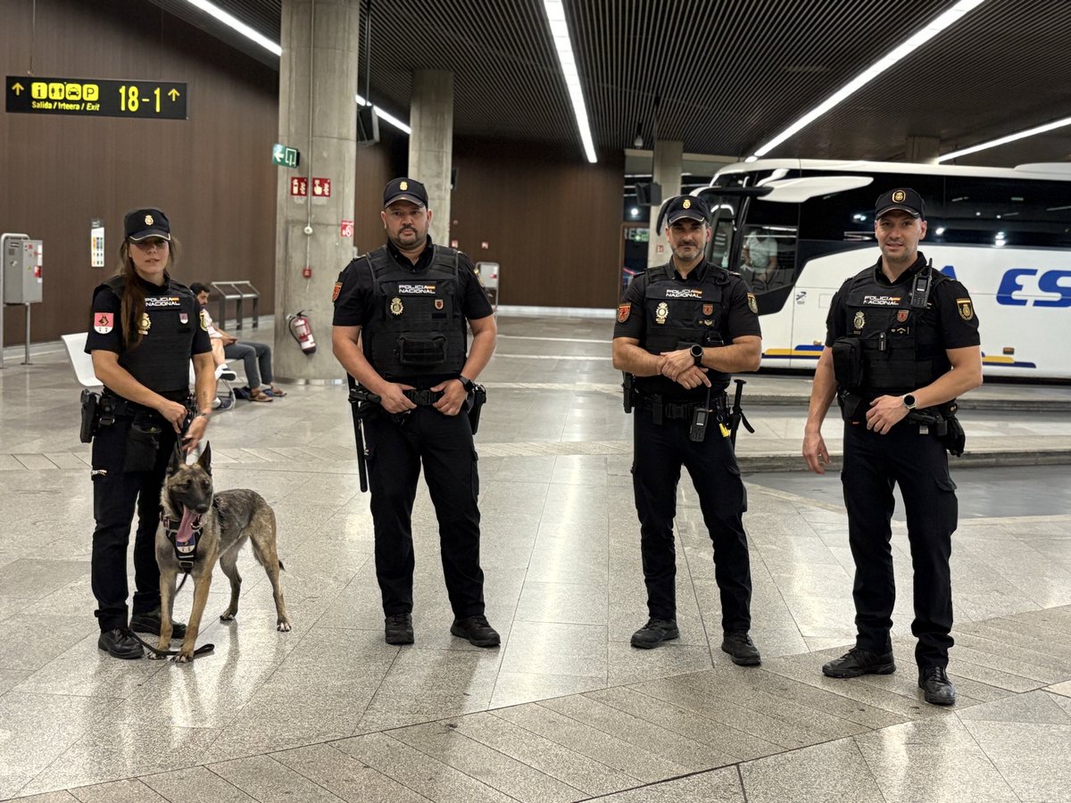 interiorgob's tweet photo. 🚨 Si vas a disfrutar de #SanFermín, hazlo con seguridad: 

🔹 Evita empujones y aglomeraciones

🔹 Identifica las vías de evacuación

🔹 Acuerda un punto de encuentro, si vais en grupo

🔹 Lleva el móvil cargado

🔹 Sigue las indicaciones de @policia y del resto de  autoridades https://t.co/oOD3V2D7Qg