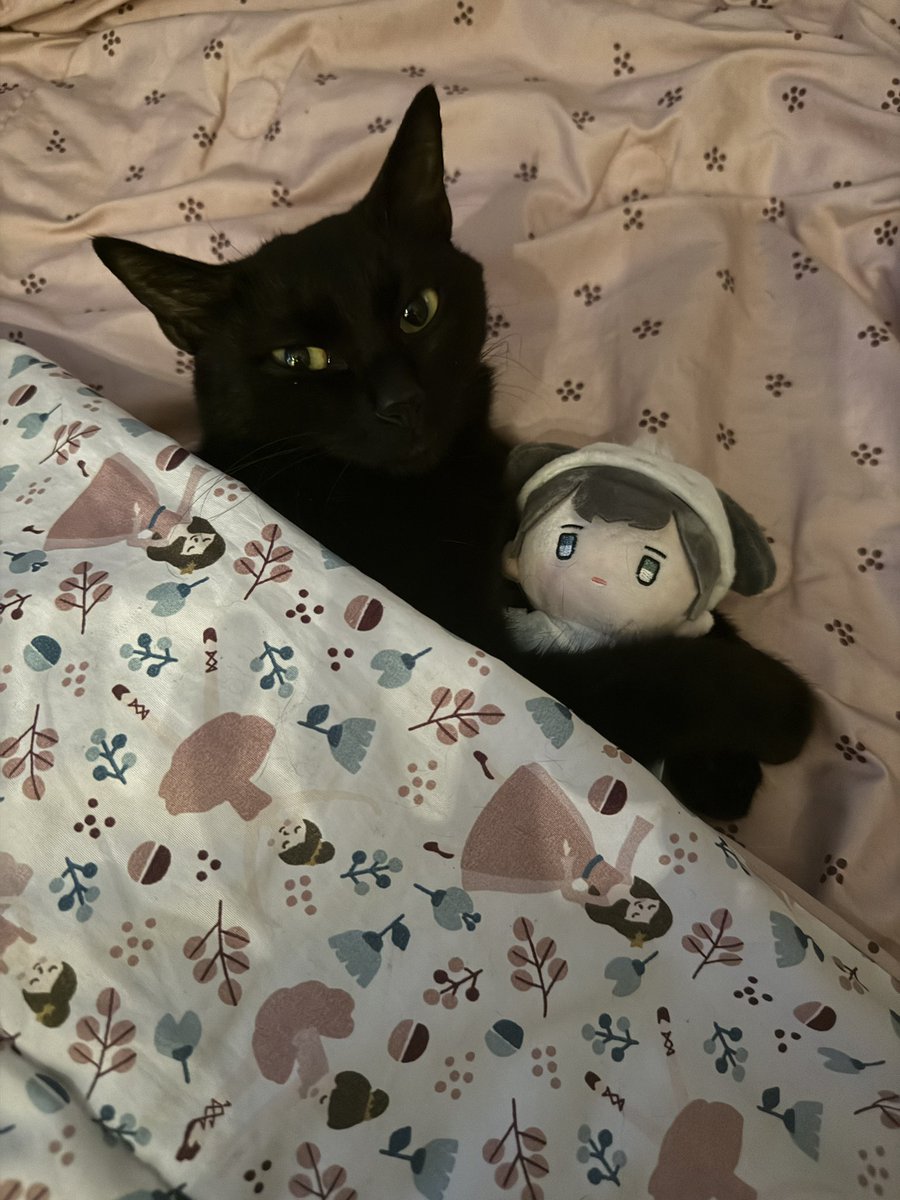 black_cat_1101's tweet photo. 낮잠타임🐈‍⬛ https://t.co/UnIAWFVkqF