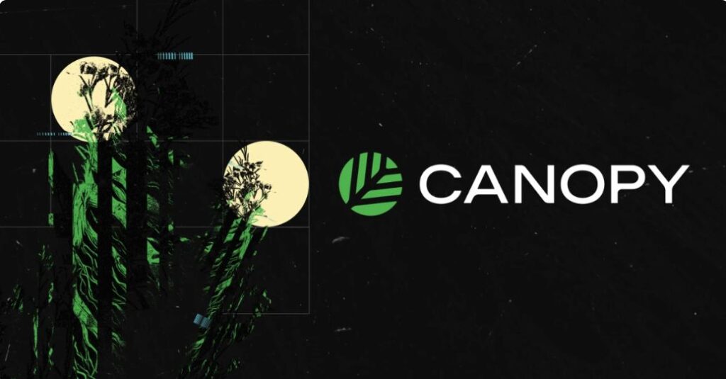 Cryptotast87659's tweet photo. @CNPYNetwork ’s white paper explains how Web3 is shifting toward AI-native, sovereign blockchains. It focuses on shared security. faster deployment, and a build-launch-grow model that can help projects eventually evolve into independent #L1s.  white 
#defi https://t.co/g8Xn17rLe3 https://t.co/zA7QfOFVdm